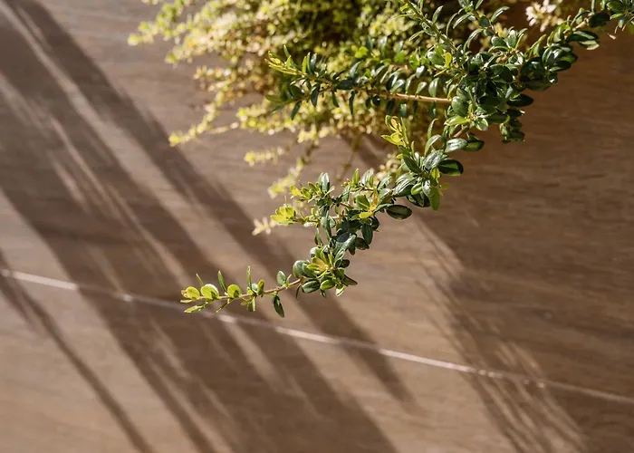 Acebos Private Pool Terrace Sea Views